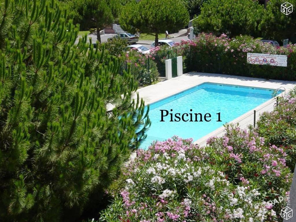 Flore Le Grau-du-Roi Exterior foto